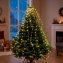 Boomlichtketting - 2