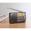Digitale DAB-RDS radio - 2