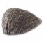 Moderne geruite pet - 2