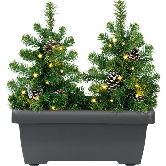 Mini-kerstbomen met led-verlichting in bloembak 