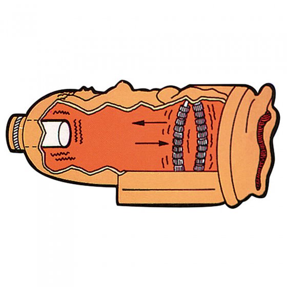Herenvibrator 'Venusgrot'