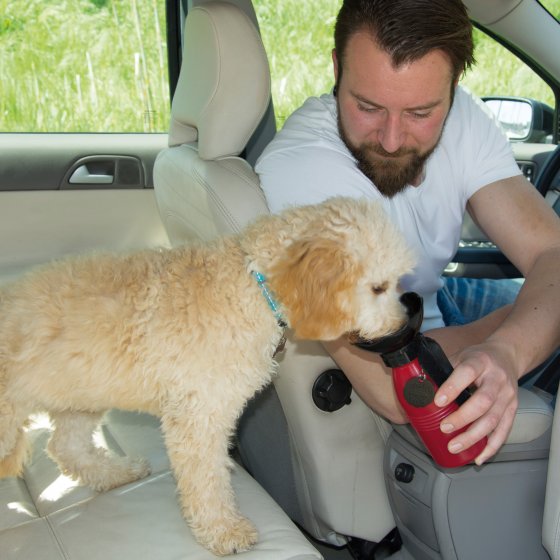 Reisdrinkfles voor honden 