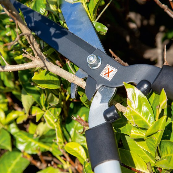 Heggenschaar met takkenknipper