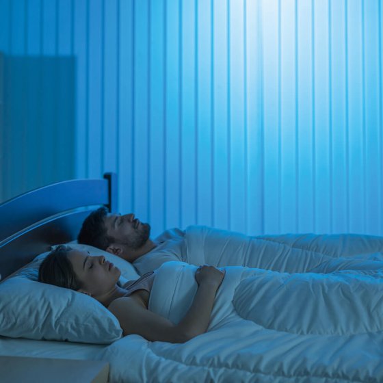 Led-muggenlamp '2 in 1'