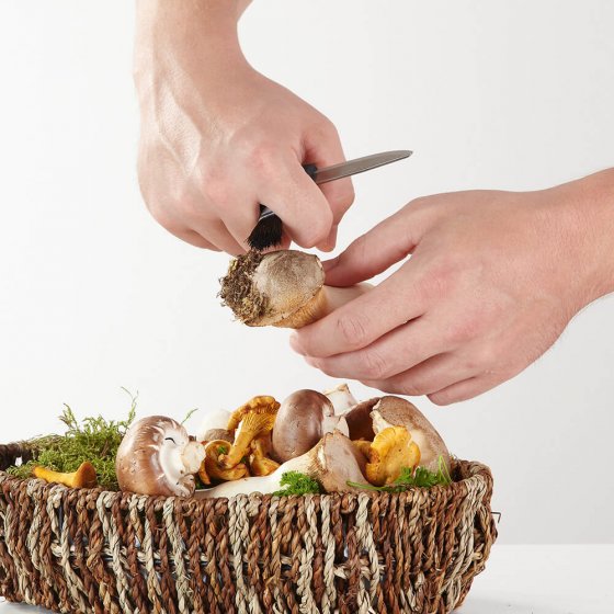 Paddenstoelmes 'Morakniv'
