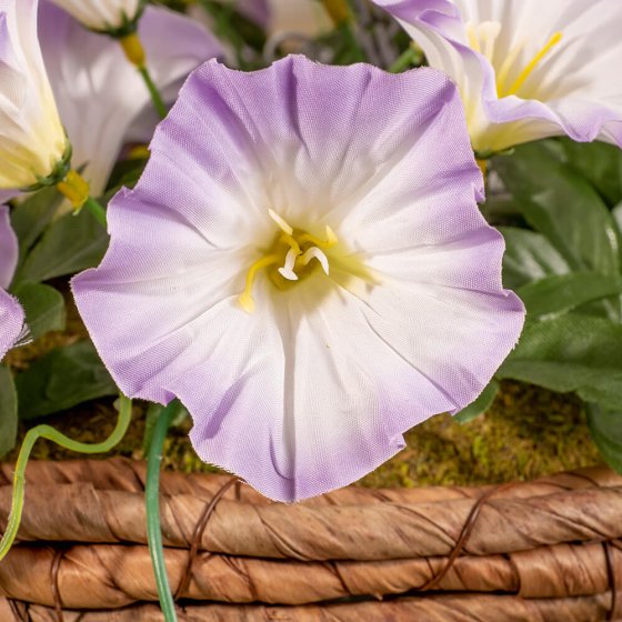 Plantenbak met voorjaarsbloeiers 