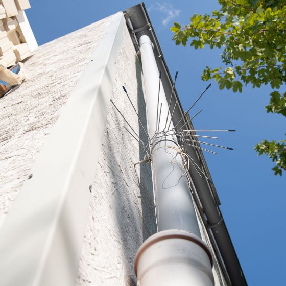 Marterbescherming voor regenpijpen Set van 2 stuks 