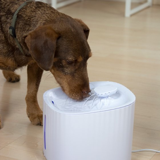 Automatische drinkfontein voor huisdieren 