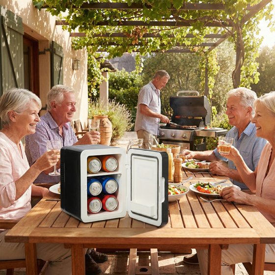 Mini-koelkast, 4 liter 