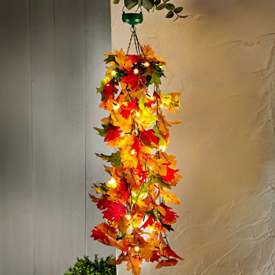 Hangbloemen op zonne-energie "Herfstbetovering" 