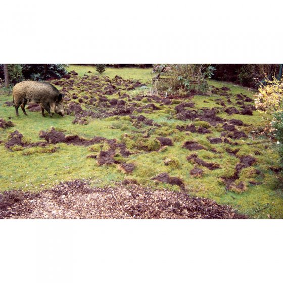 Solar- wilde dieren bescherming