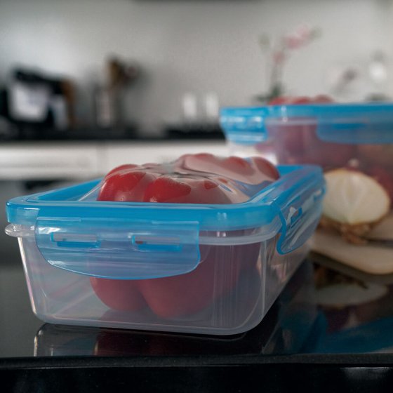 Vershoudbakjes met flexibele deksel Set van 2 stuks
