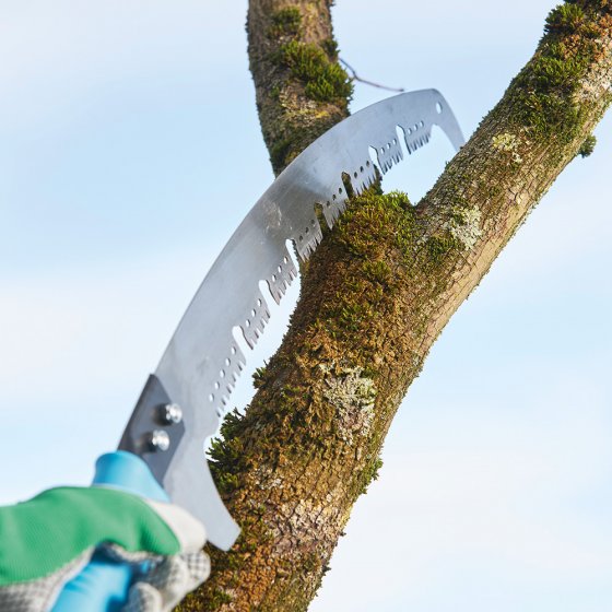 Stalen houtzaag met takkenschaar 