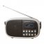 Draagbare RDS-radio - 3