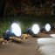Solarlamp (set van 10) - 3