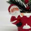 Kerstbloemstuk “Santa” - 3