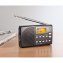 Digitale DAB-RDS radio - 3