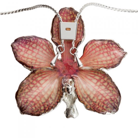 Orchidee collier 