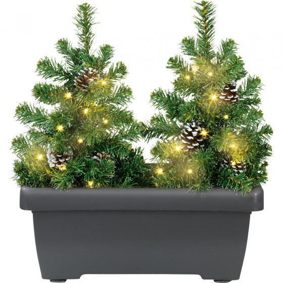 Mini-kerstbomen met led-verlichting in bloembak 