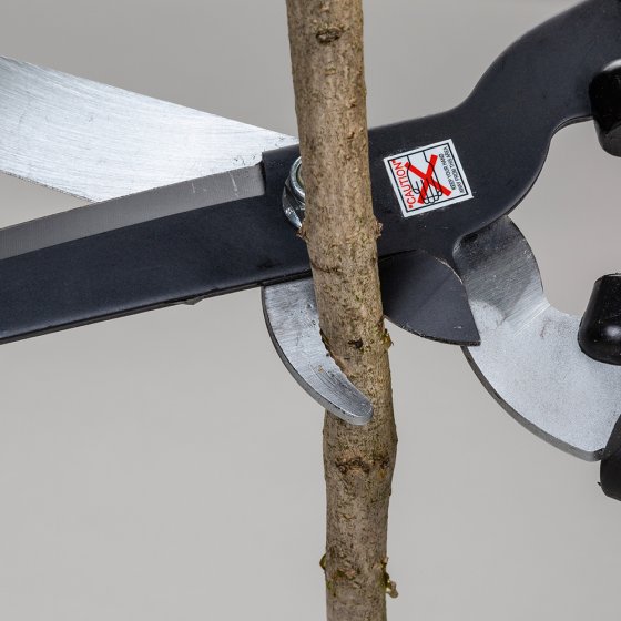 Heggenschaar met takkenknipper