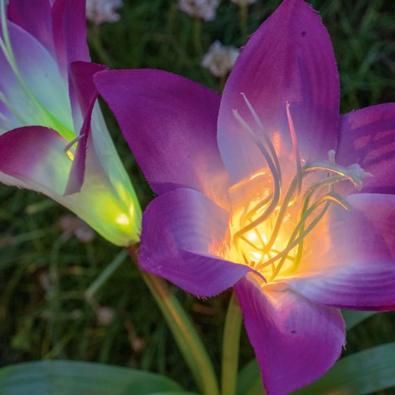 Ledbloemen op zonne-energie Set van 2 stuks 