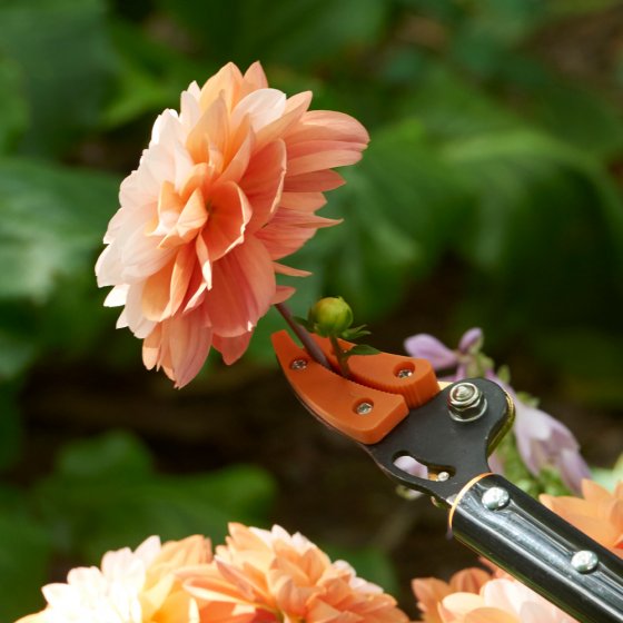 Tuinschaar met lange steel 'Titanium'
