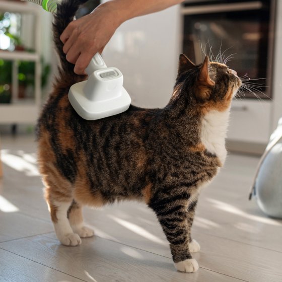 Verzorgingsset voor huisdieren
