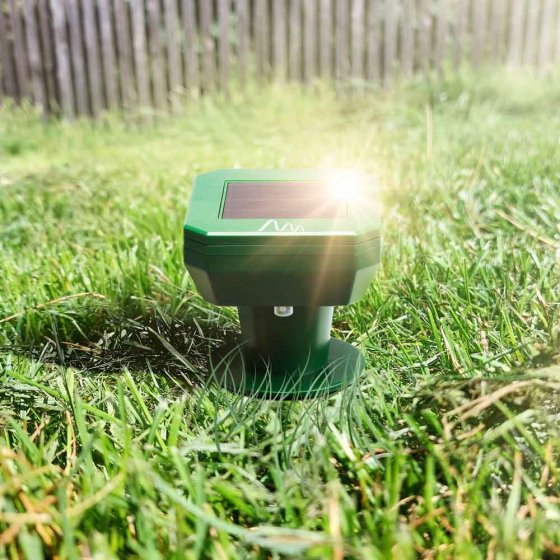 Afweermiddel op zonne-energie tegen woelmuizen 