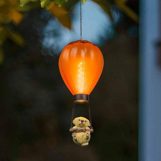 LED-zonne-heteluchtballonnen in een set van 2