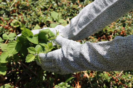 Tuinhandschoenen met lange mouwen (1 paar) 