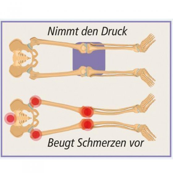 Zitkussen  "Ergo" 