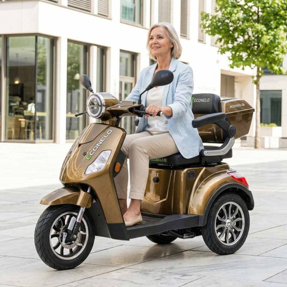 E-Mobil YOGI-IQ, 3 wielen, loodaccu Bruin
