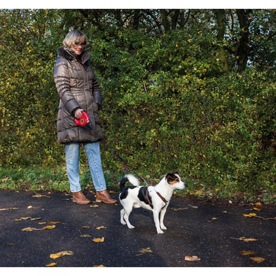 Honden-rollijn met licht en poepzak 