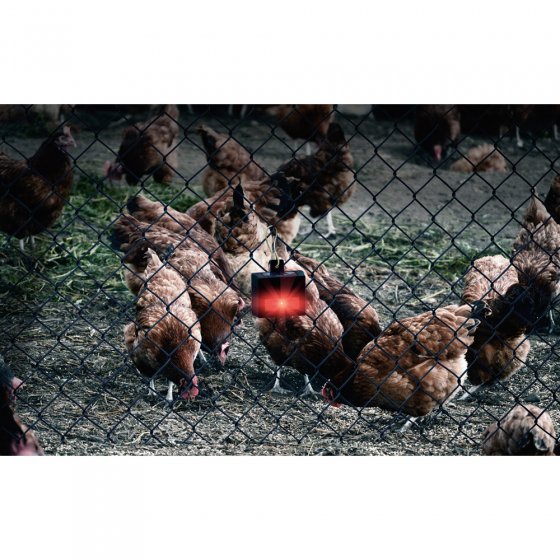Solar- wilde dieren bescherming