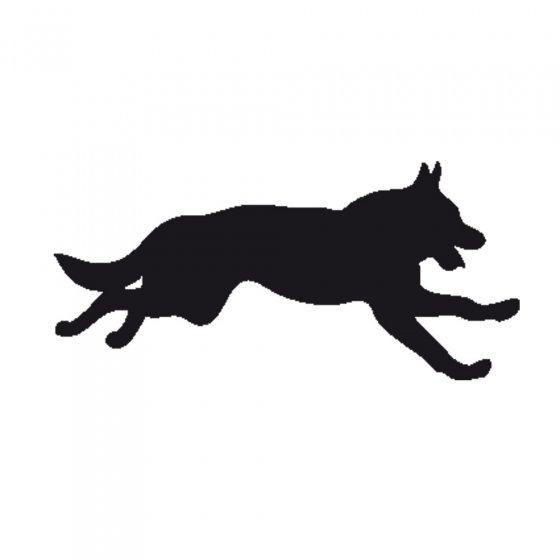 Hond en Kat verdrijver