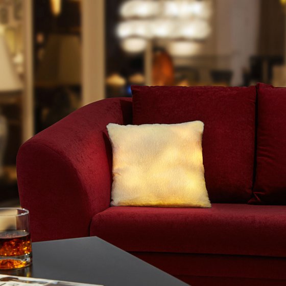 Lichtkussen met afstandsbediening 