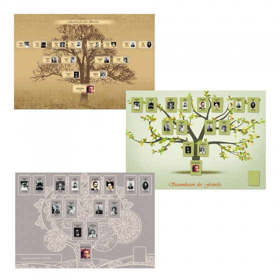 Dvd familiekunde ‘de stamboom’ 