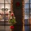 Grote LED-eland - 4