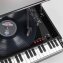 Platenspeler in piano-look - 4