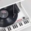 Platenspeler in piano-look - 4