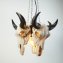 Hanglamp 'Longhorn-schedel' - 4