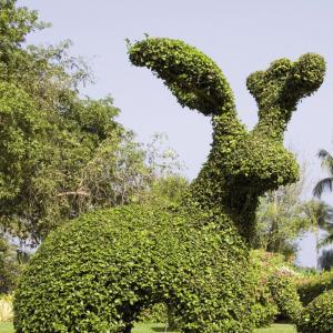 Heggenschaar “Garden Groom” 