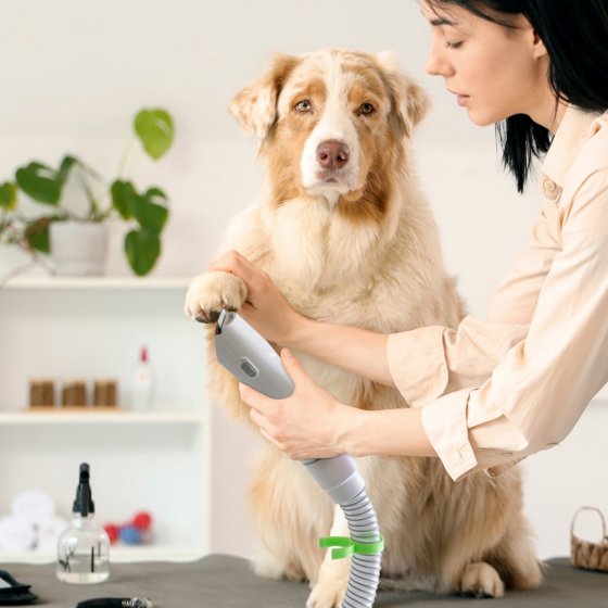 Verzorgingsset voor huisdieren