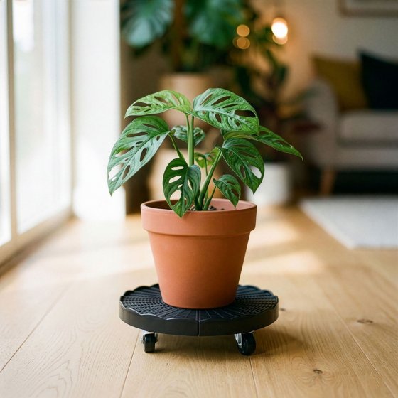 Verstelbare plantenroller met remmen  