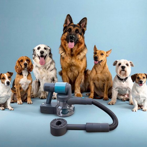 Borstelset voor dierenharen 