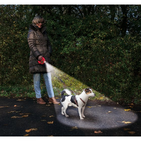 Honden-rollijn met licht en poepzak 