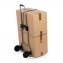Opvouwbare transportwagen - 5
