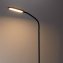 Staande lamp met zwanenhals - 5