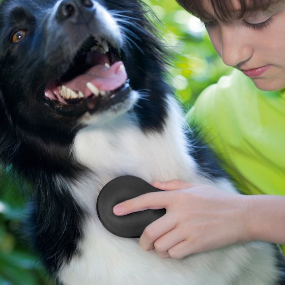 Geurneutraliserende dierenborstel 