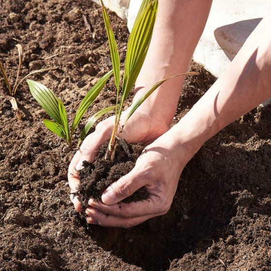 Grondboor voor de tuin 